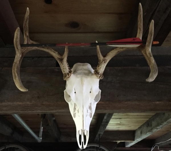 DIY European Mount for Under $5