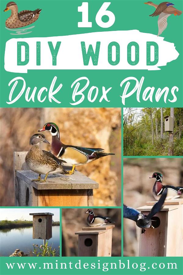 DIY Wood Duck Box Plans