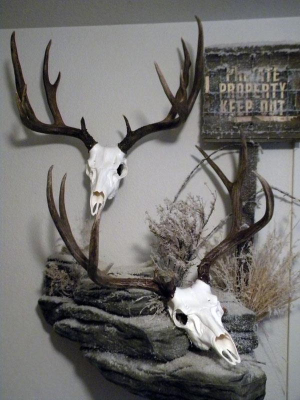 European Deer Mount Ideas