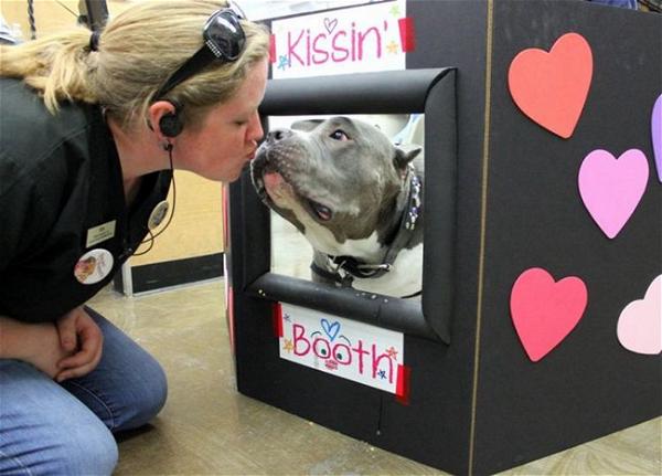 How To Build A Dog Kissing chamber 