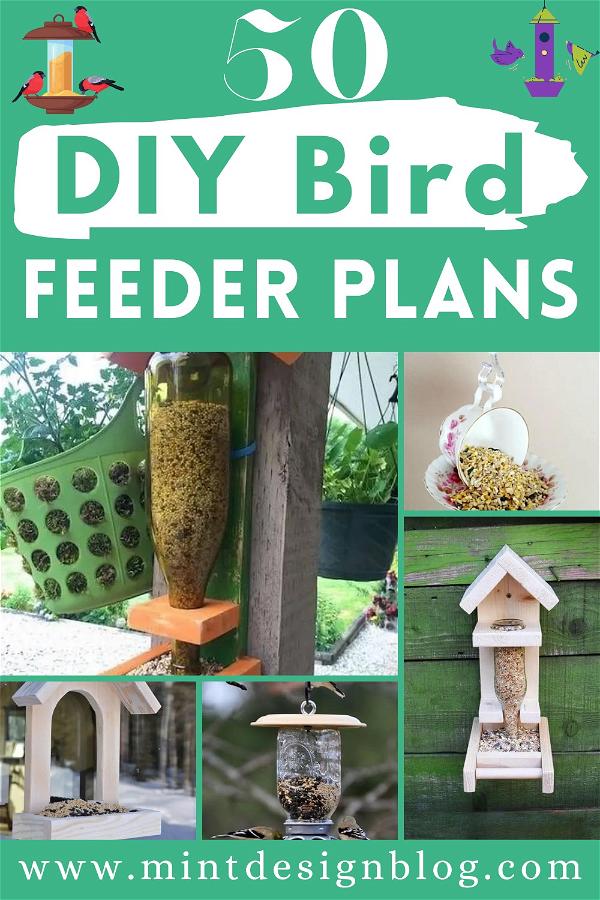 DIY Bird Feeder Plans