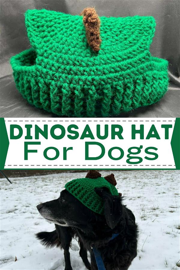 Dinosaur Hat For Dogs