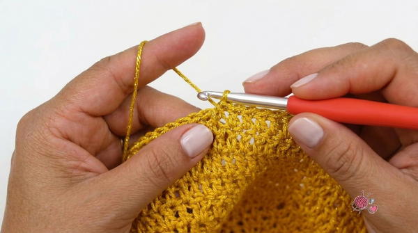 Crochet Soft Top Step-by-Step Tutorial 4