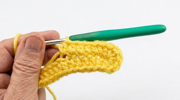 Crochet book cover 4