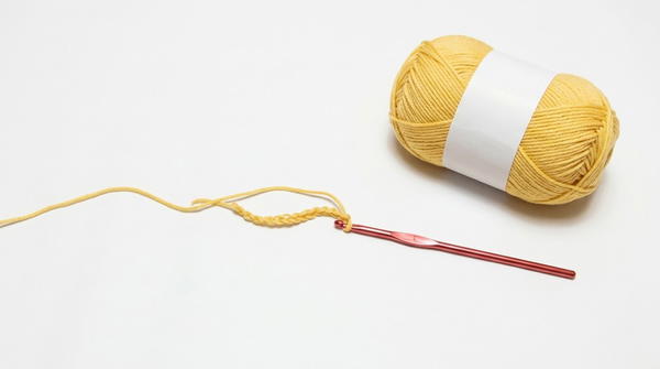 Easy Crochet t-shirt crochet 3