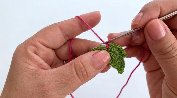 Make a beautiful Irish crochet branch for your blouses. 3
