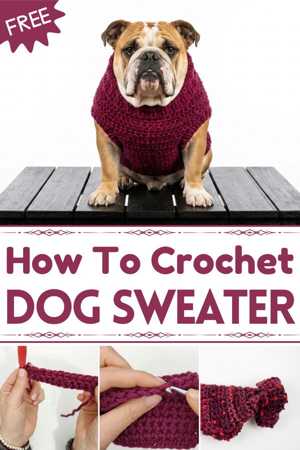 Top down crochet dog sweater 1