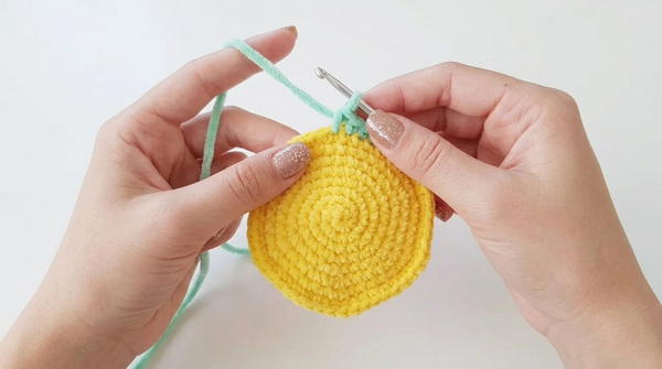 AMIGURUMI LEMON SLICE 4