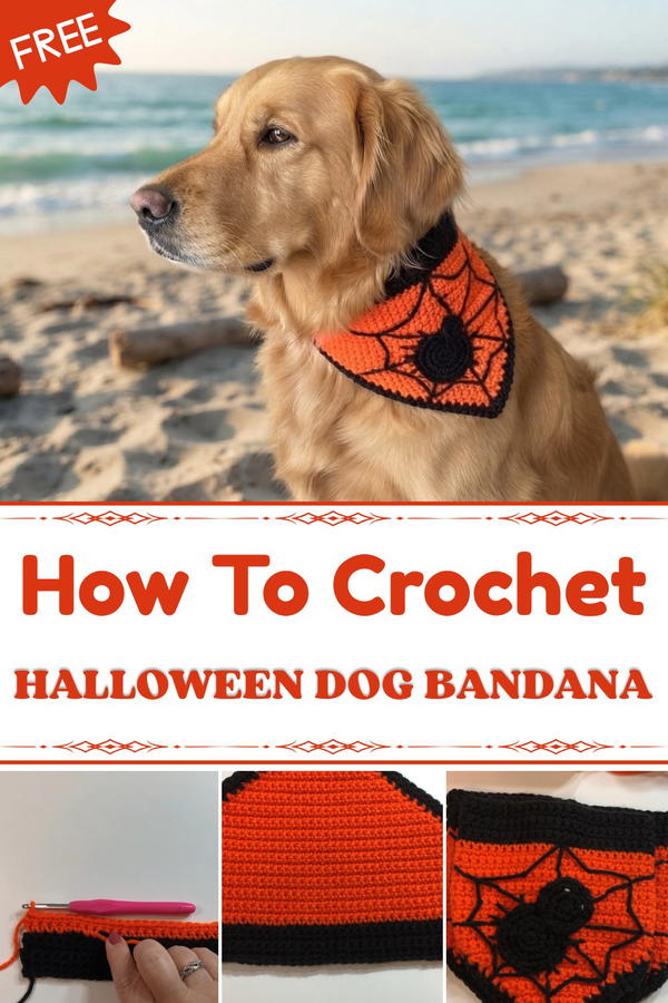 Halloween Dog Bandana (1)
