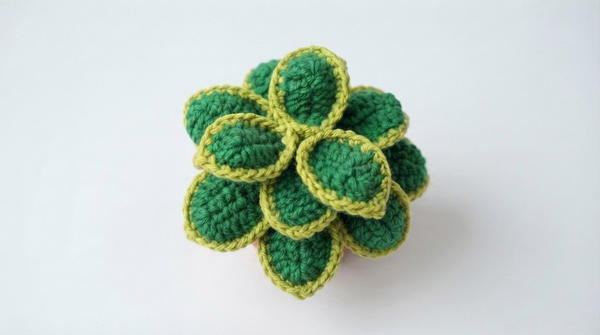Succulent Gardem Collection Amigurumi Pattern 7