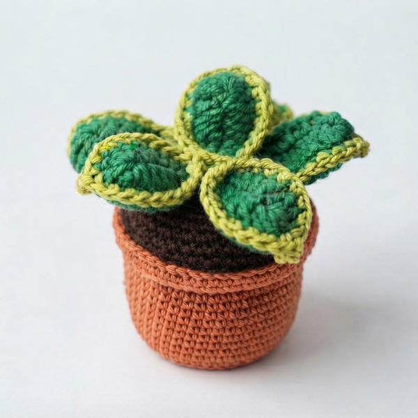 Succulent Gardem Collection Amigurumi Pattern 9