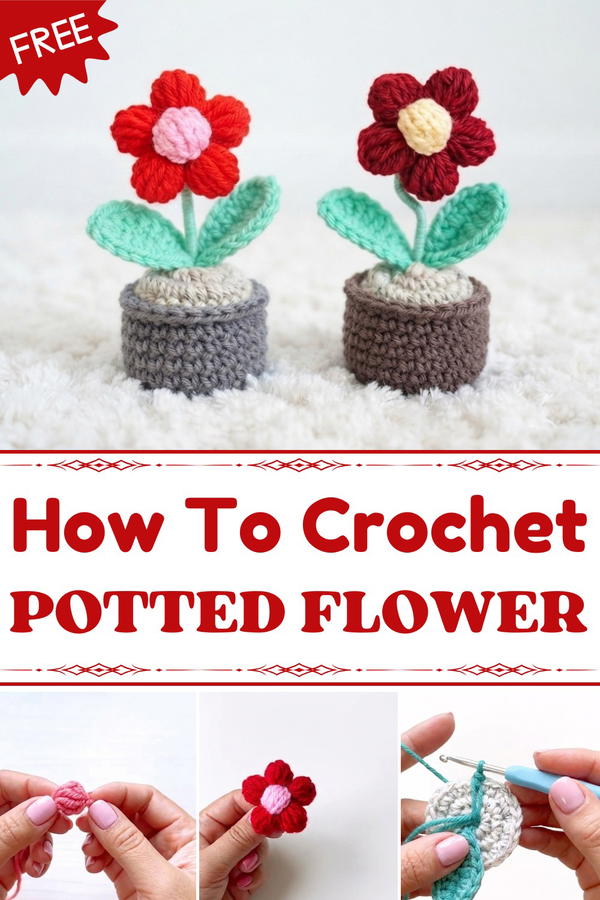 Super easy step-by-step potted flower for beginner 1