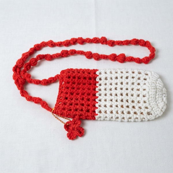 _How to Make a Crochet Phone Bag for Beginners (Easy & Fast!) 9