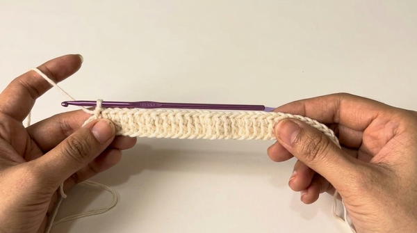 crochet mesh tote bag for beginners