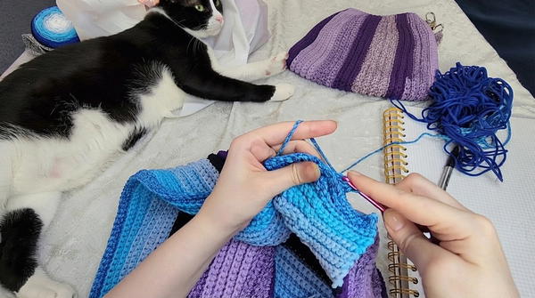 How to Crochet an Easy and Stylish Handbag for Beginners _ Step-by-Step Tutorial for All Sizes (11)
