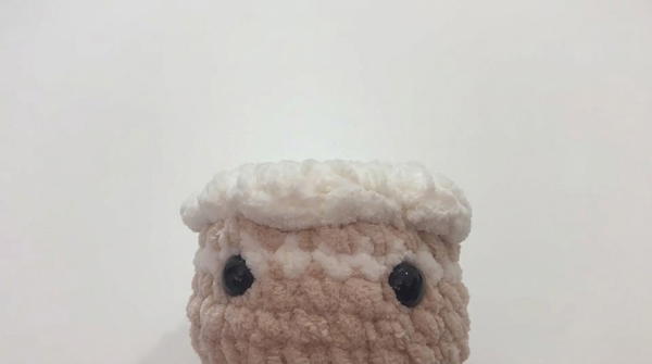 Crochet Bunny Jelly Cat Pattern 4